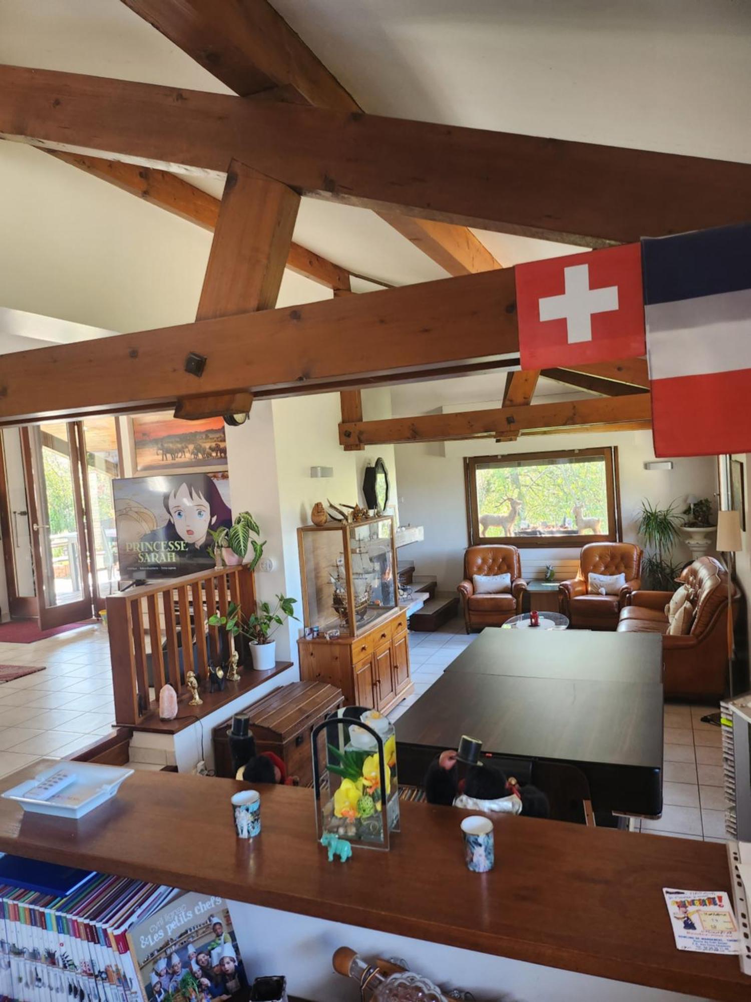 Chez Amalia et Fred Appartement Thonon-les-Bains Buitenkant foto